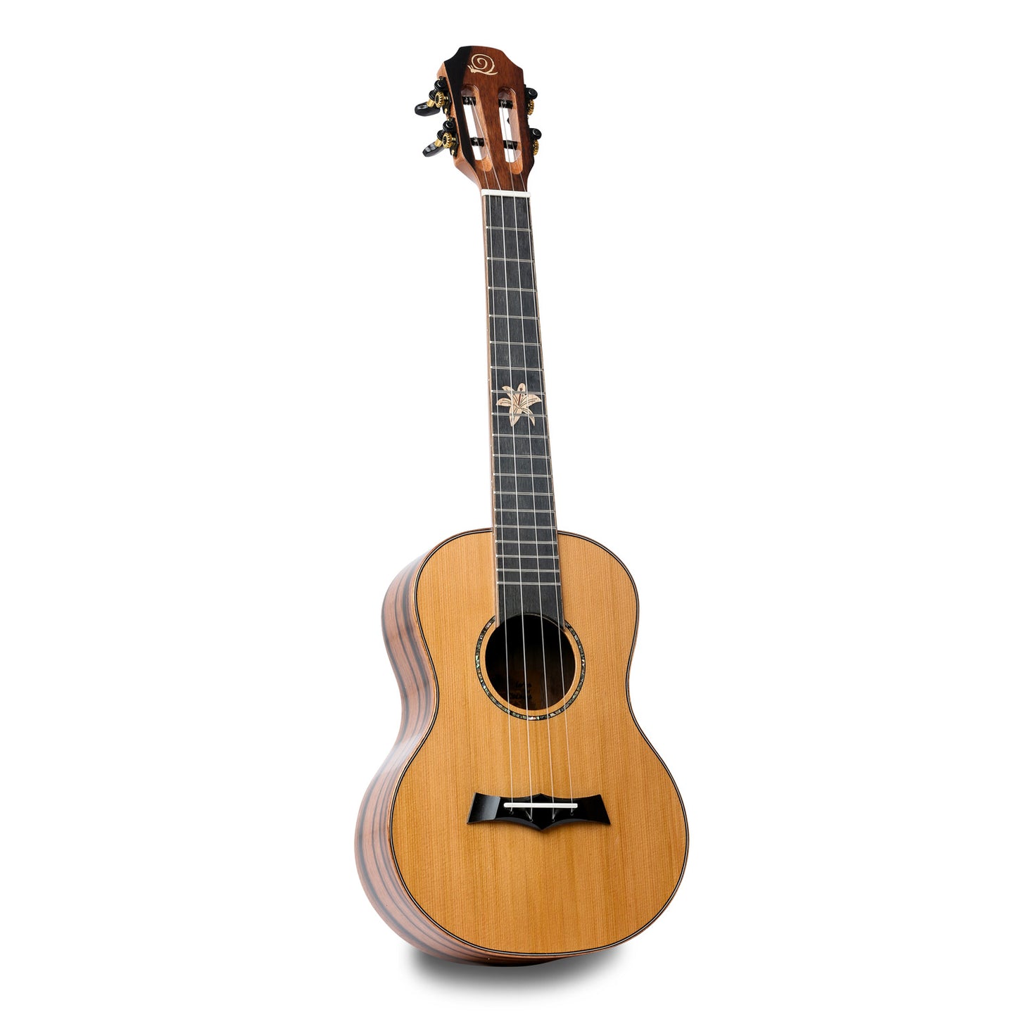 Snail BHC-6T Cedar Gloss Tenor Ukulele