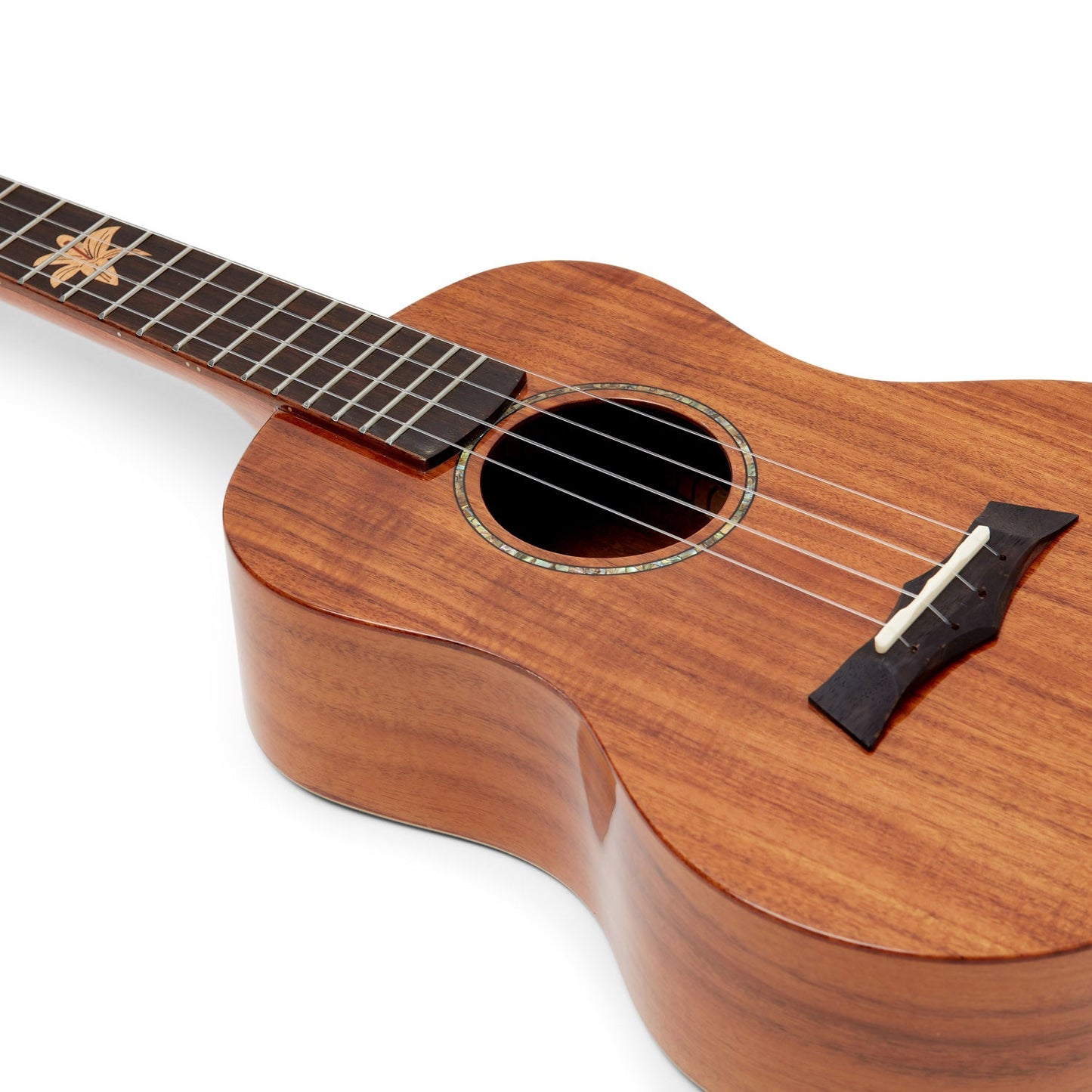 Snail BHC-8T Acacia Tenor Ukulele