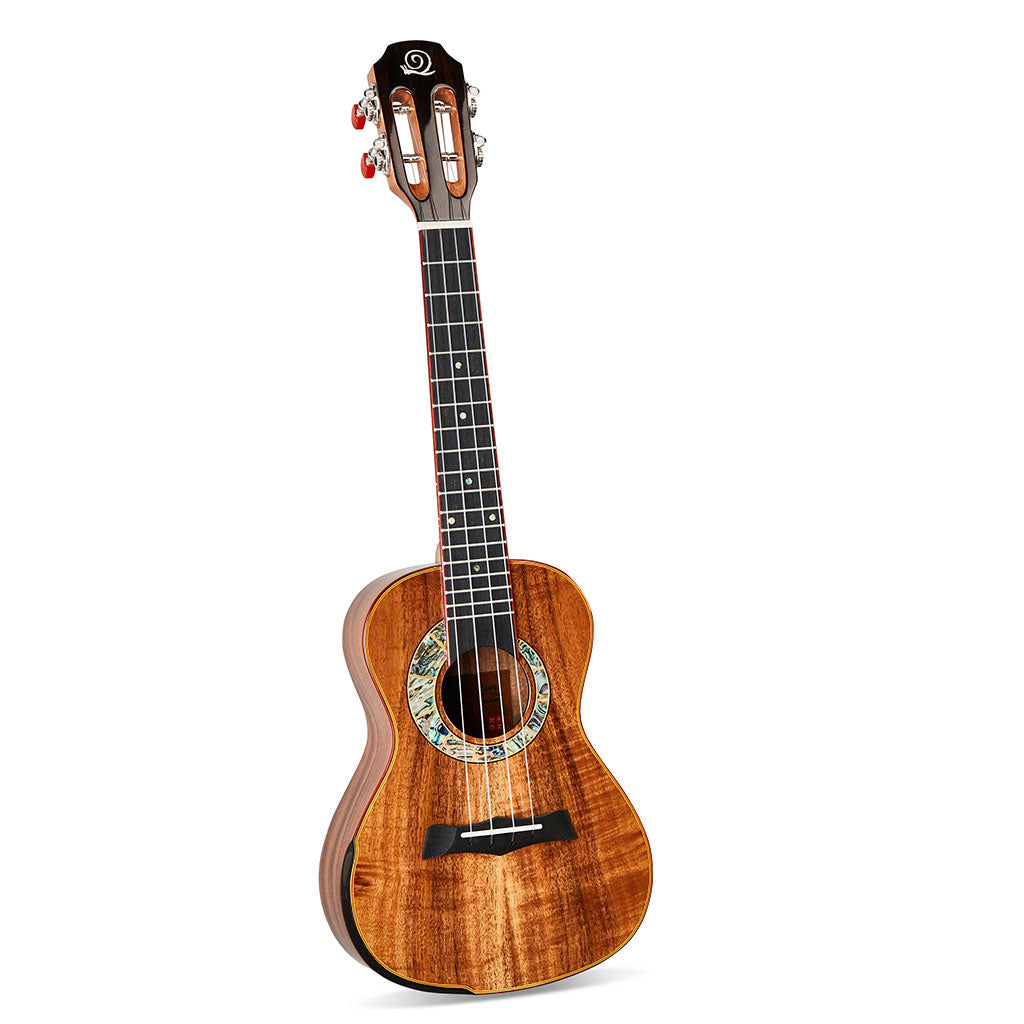 Snail S60C Solid Flamed Acacia Concert Ukulele