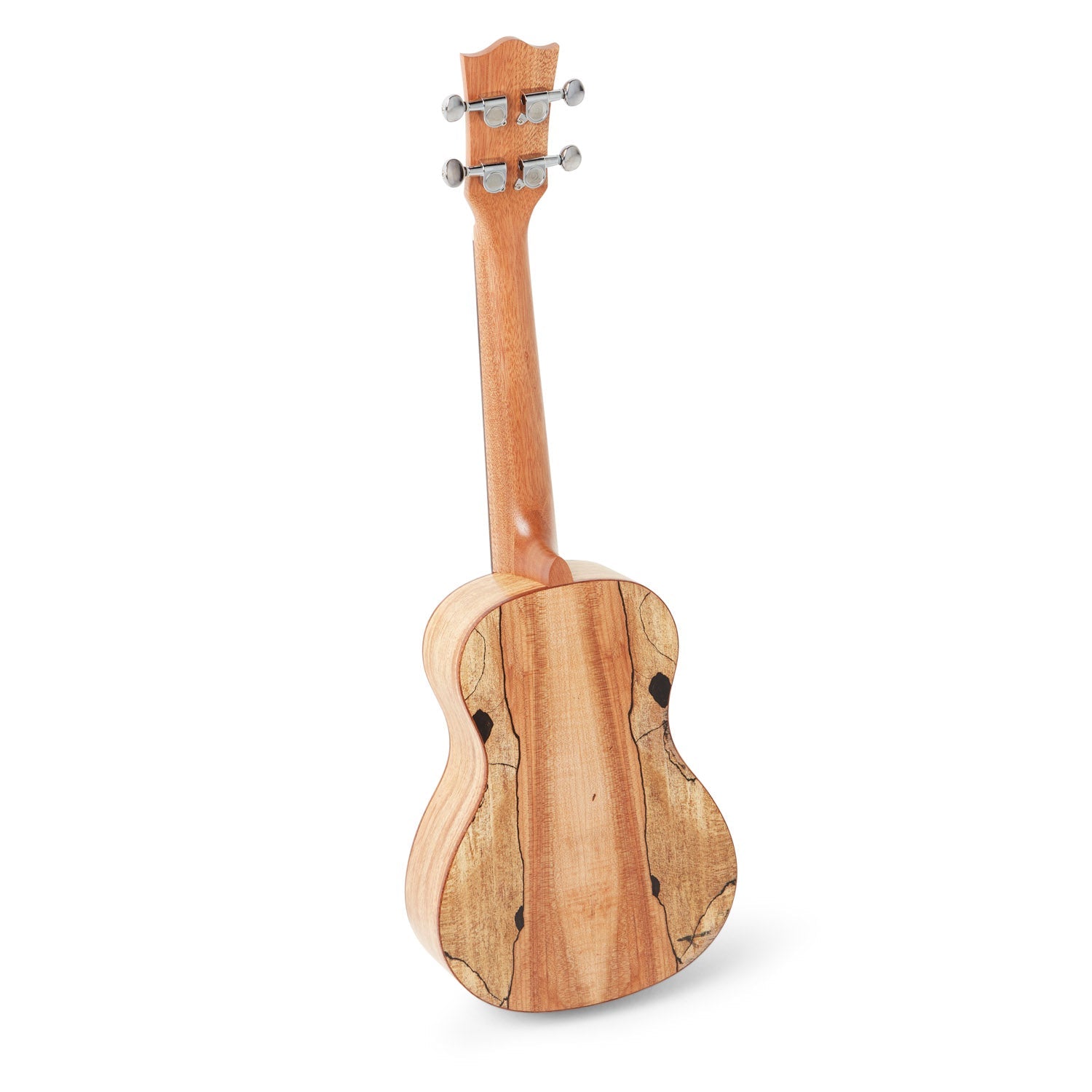 Snail UKC-380 Spruce Concert Ukulele