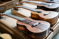 Ukulele Tonewoods Explained — How Wood Affects Your Sound