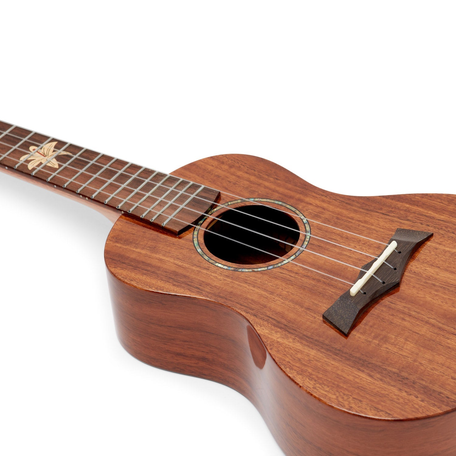 Snail BHC-8C Acacia Concert Ukulele